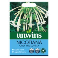 5051618027847 1 Nicotiana Sylvestris Only The Lonely Seeds.jpg